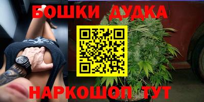 гидра Пушкино